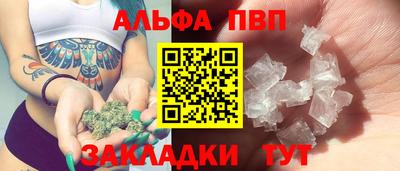 дмт Гудермес