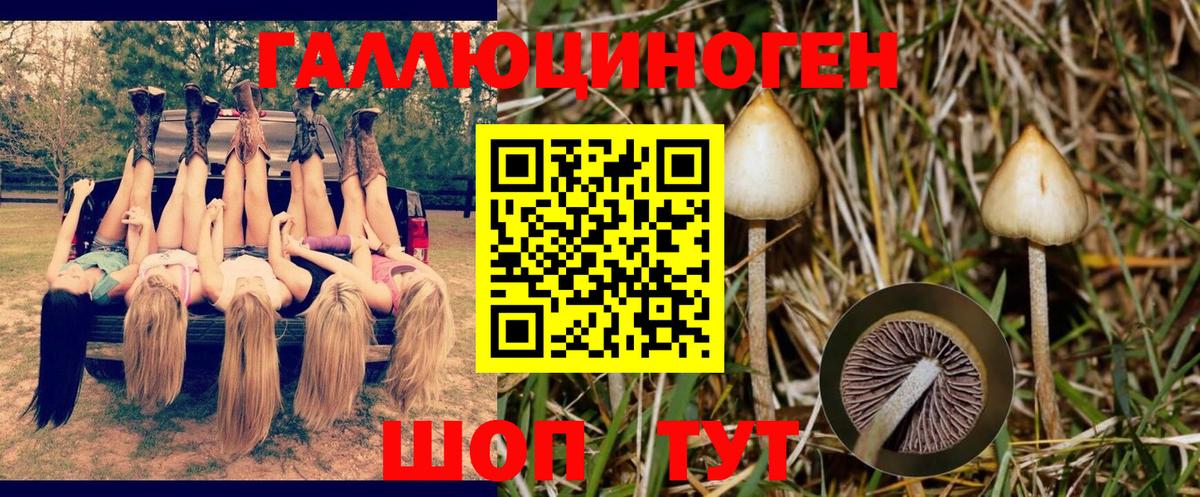 Псилоцибиновые грибы Magic Shrooms  купить  цена  Симферополь  Вход с VPN 